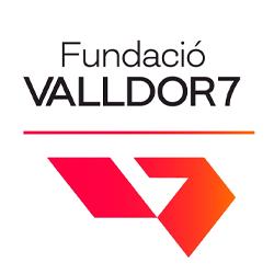 Logo Valldor